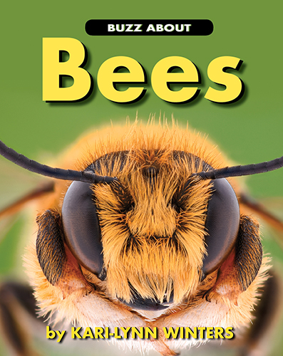 Buzz about Bees